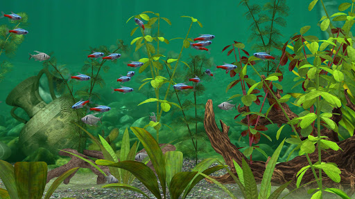 Fish Farm 3 Google Play のアプリ