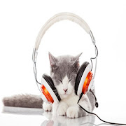 Music For Cats Soothing Music For Cats