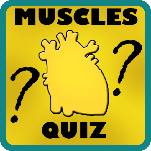 Muscles Quiz