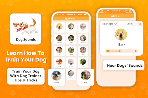Human to Dog translator Prank Screen 2