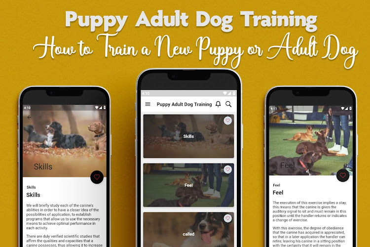 Puppy Adult Dog Training - 1.4 - (Android)