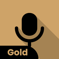 Voice Recorder  Voice Memo - GOLD