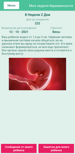 Предварительный просмотр приложения