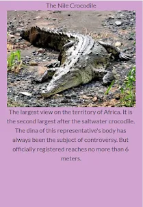 Types of Crocodiles