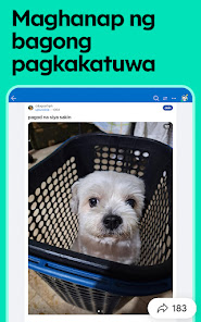 Screenshot na larawan