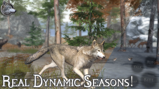 Ultimate Wolf Simulator 2 MOD APK 3.0 (Unlimited Points) 3