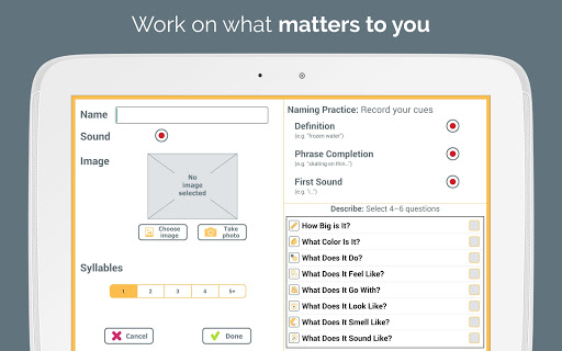 Screenshot of Naming Therapy