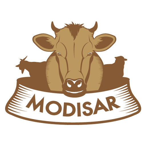 MODISAR logo