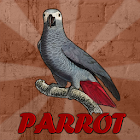 Grey Parrot Rescue 1.0.0