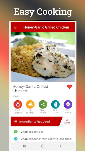 Barbecue Grill Recipes Screen 2