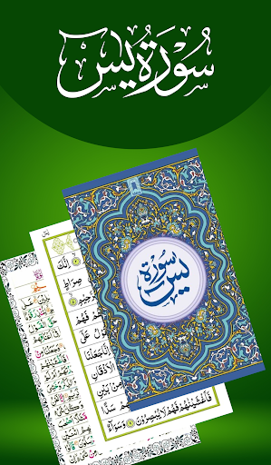 Surah Yaseen Offline- Al Yasin Screen 2