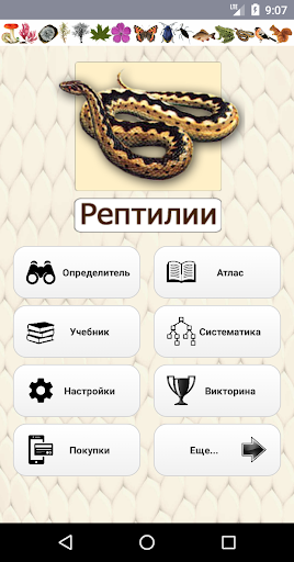 Android application EcoGuide: Russian Reptiles screenshort