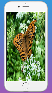 Butterfly HD Wallpaper app