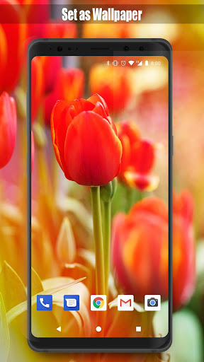 Natural Garden Live Walpapers