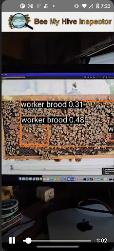 Bee My Hive Inspector Screen 2