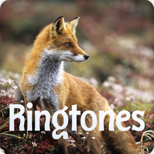ดาวน์โหลดแอป Fox Sound Ringtones บน Pc โดยใช้อีมูเลเตอร์ - Ldplayer