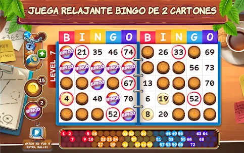 Bingo Castores