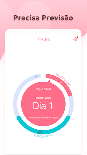 Visualização do aplicativo