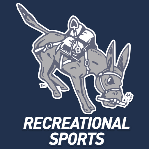 Mines Rec logo