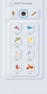 Bird Translator Simulator 3