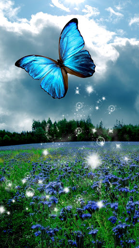 Download Butterfly wallpapers-Butterfly Aesthetic Free for Android -  Butterfly wallpapers-Butterfly Aesthetic APK Download 