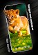 screenshot of Cute animals Wallpapers