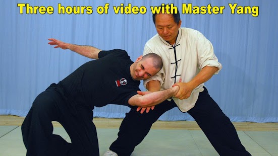 Tai Chi Martial Applications Captura de tela