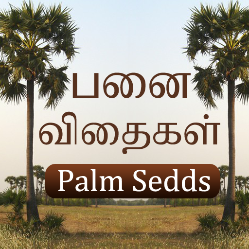 Palm Tree, Buy Palm Seeds - Pa 1.0 Icon