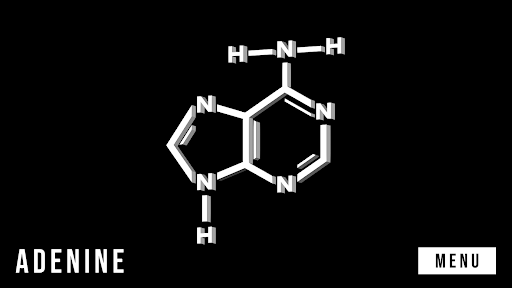 RNA Translation Screen 3