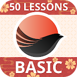 HonkiBasic - Learn japanese icon