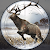 Deer Hunting 2: Hunting Season Mod Apk 1.0.8