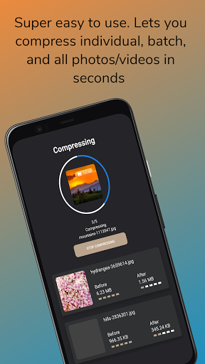 Veedify: Auto Compress Video Screen 2