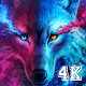 Galaxy Wolf Wallpaper HD Download on Windows