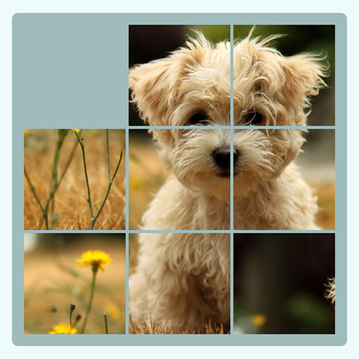 Jigsaw Puzzle 1.0 Icon