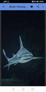 Captura 7 Shark Wallpapers android
