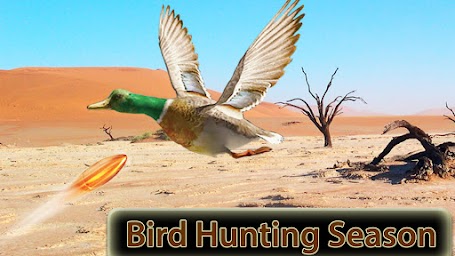 Desert Birds Sniper Shooter 3D