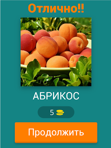 Угадай Фрукты Ягоды