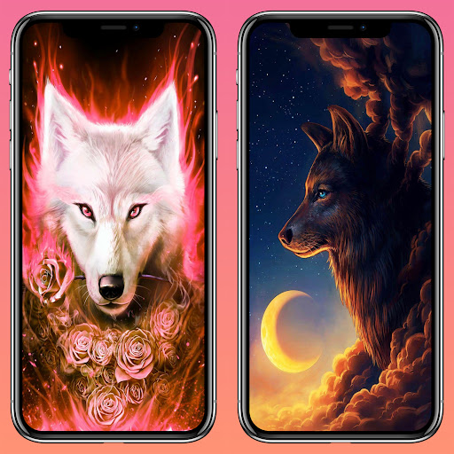 Wolf wallpapers-Wolf wallpaper 4k