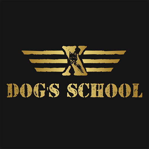 DogsSchool Download on Windows