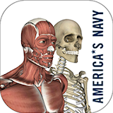 Anatomy Study Guide icon
