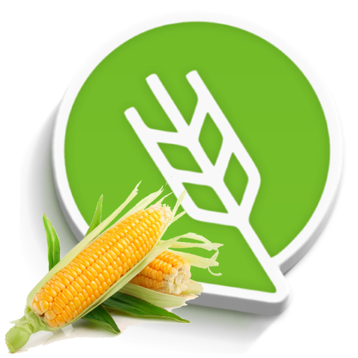 मका लागवड logo