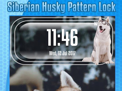 √100以上 ロック 画面 柴犬 可愛い動物 820389