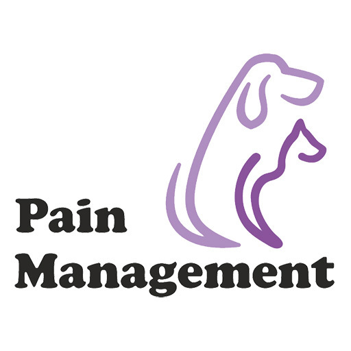 Pain Management  Icon