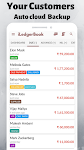 screenshot of LedgerBook : Cashflow & Credit