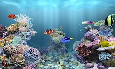 aniPet Marine Aquarium HDのおすすめ画像1