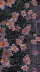 Blumen -Hintergrundbilder