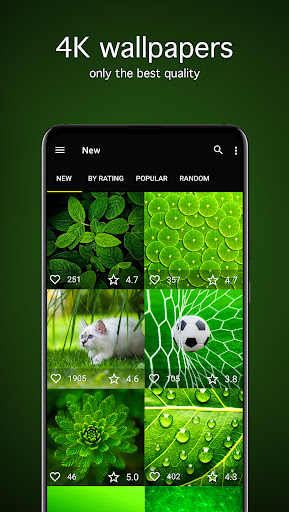 Green Wallpapers 4K Screen 2