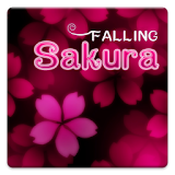Sakura Falling Live Wallpaper icon