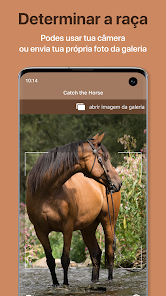 Adivinhe a raça do cavalo – Apps no Google Play
