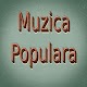 Muzica Populara de Petrecere 2021 Download on Windows